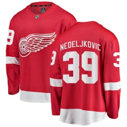 Alex Nedeljkovic Detroit Red Wings Youth Fanatics Branded Red Breakaway Home Jersey